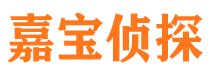 清河门市调查公司